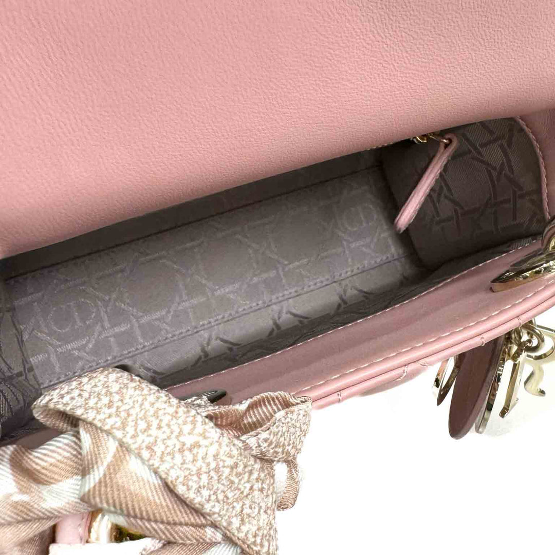Dior Mini Pink Lady Bag - Jiaxyk