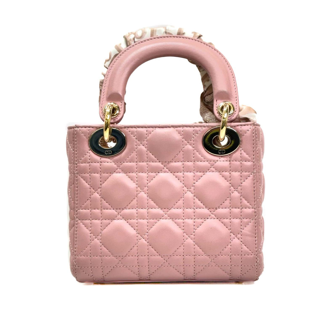 Dior Mini Pink Lady Bag - Jiaxyk