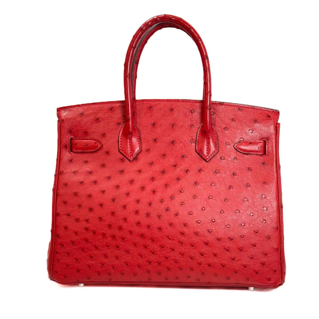 Hermes Birkin 30 Ostrich - Jiaxyk