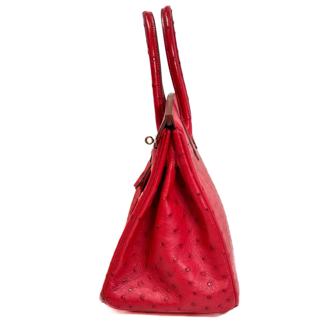 Hermes Birkin 30 Ostrich - Jiaxyk