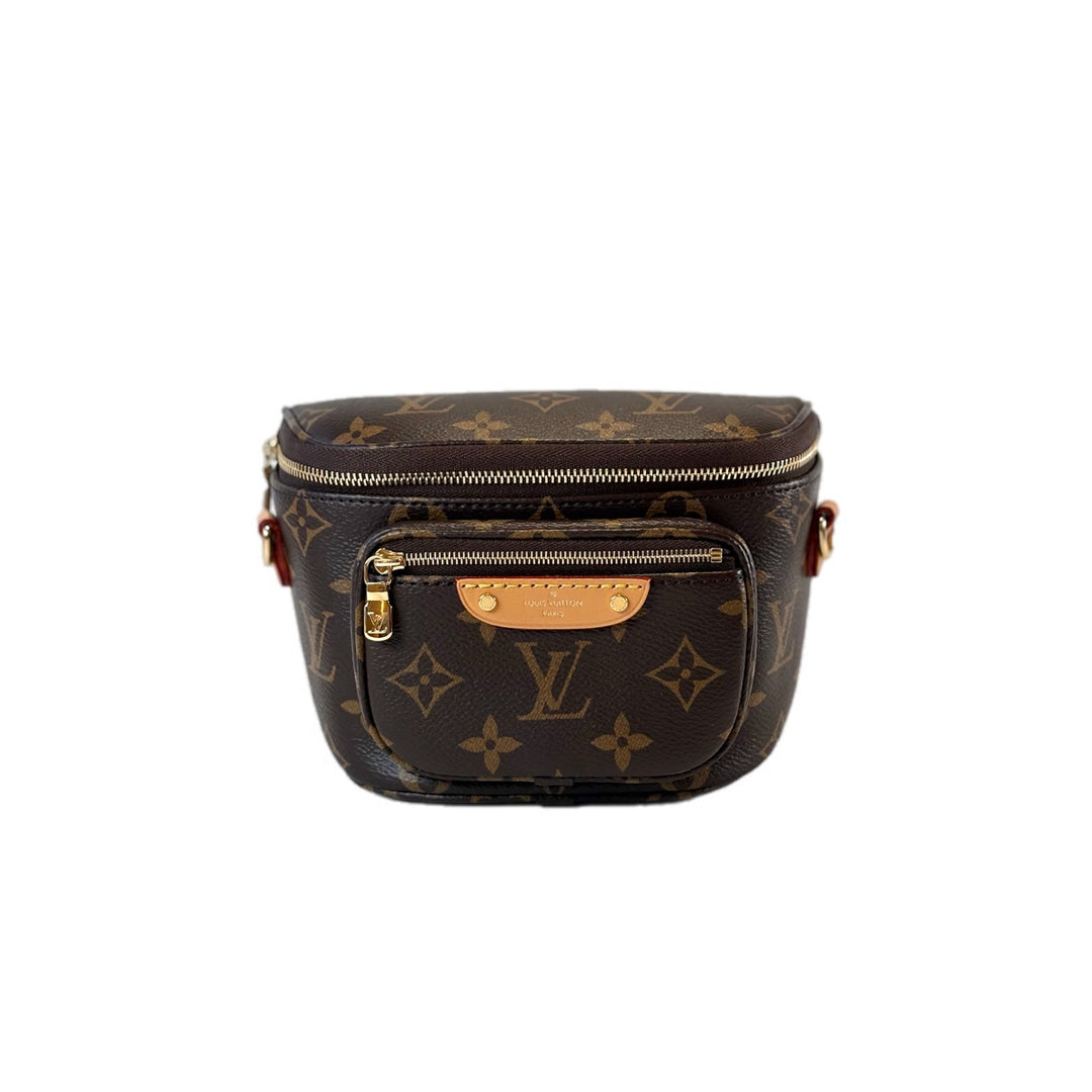 Louis Vuitton Mini Bumbag Monogram