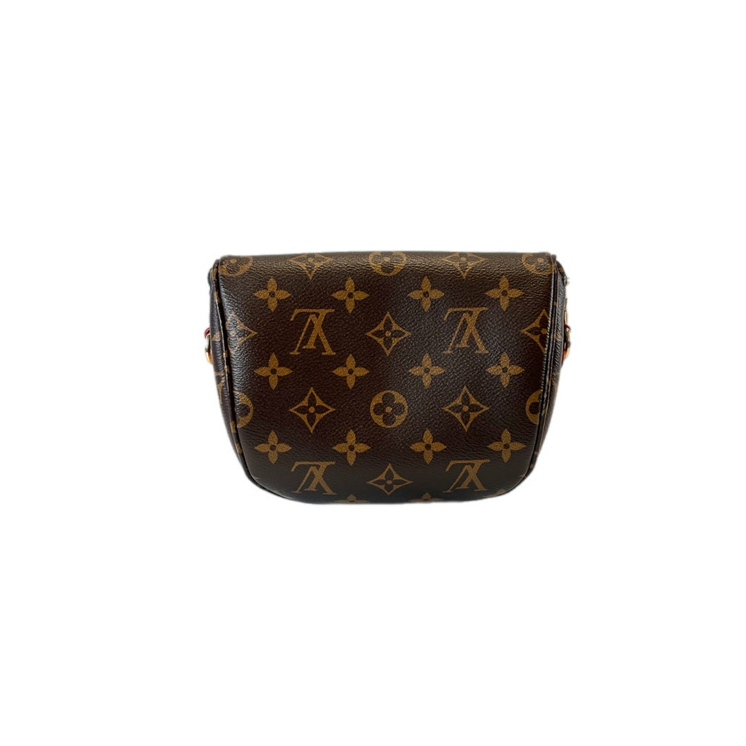 Louis Vuitton Mini Bumbag Monogram