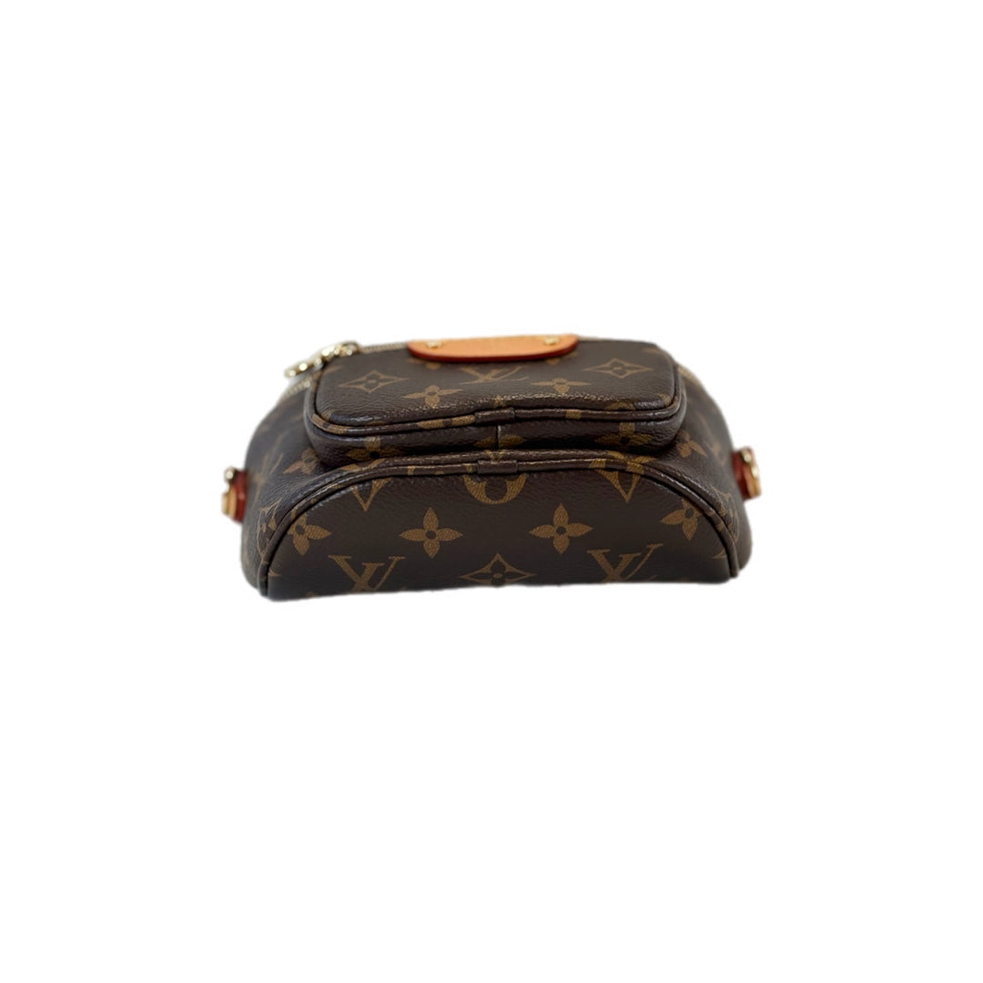 Louis Vuitton Mini Bumbag Monogram