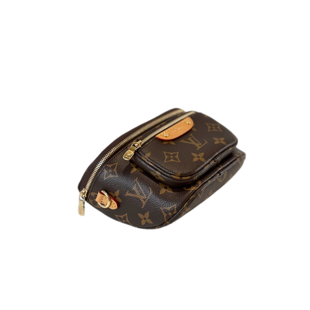 Louis Vuitton Mini Bumbag Monogram
