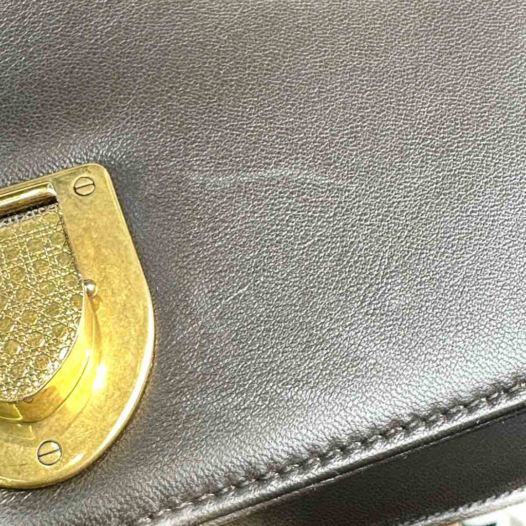 Dior Medium Grey Diorama Bag - Jiaxyk