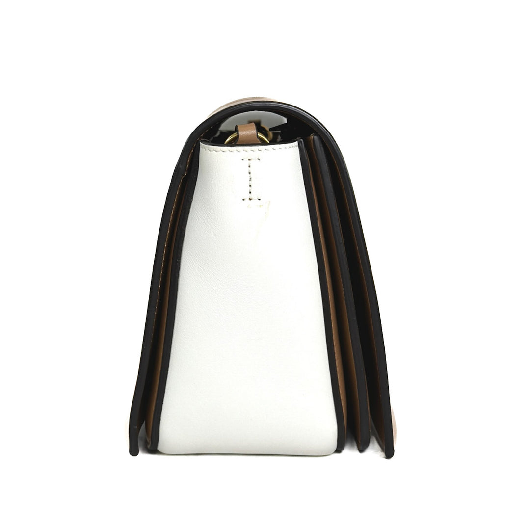 Celine White & Brown Frame Bag - Jiaxyk