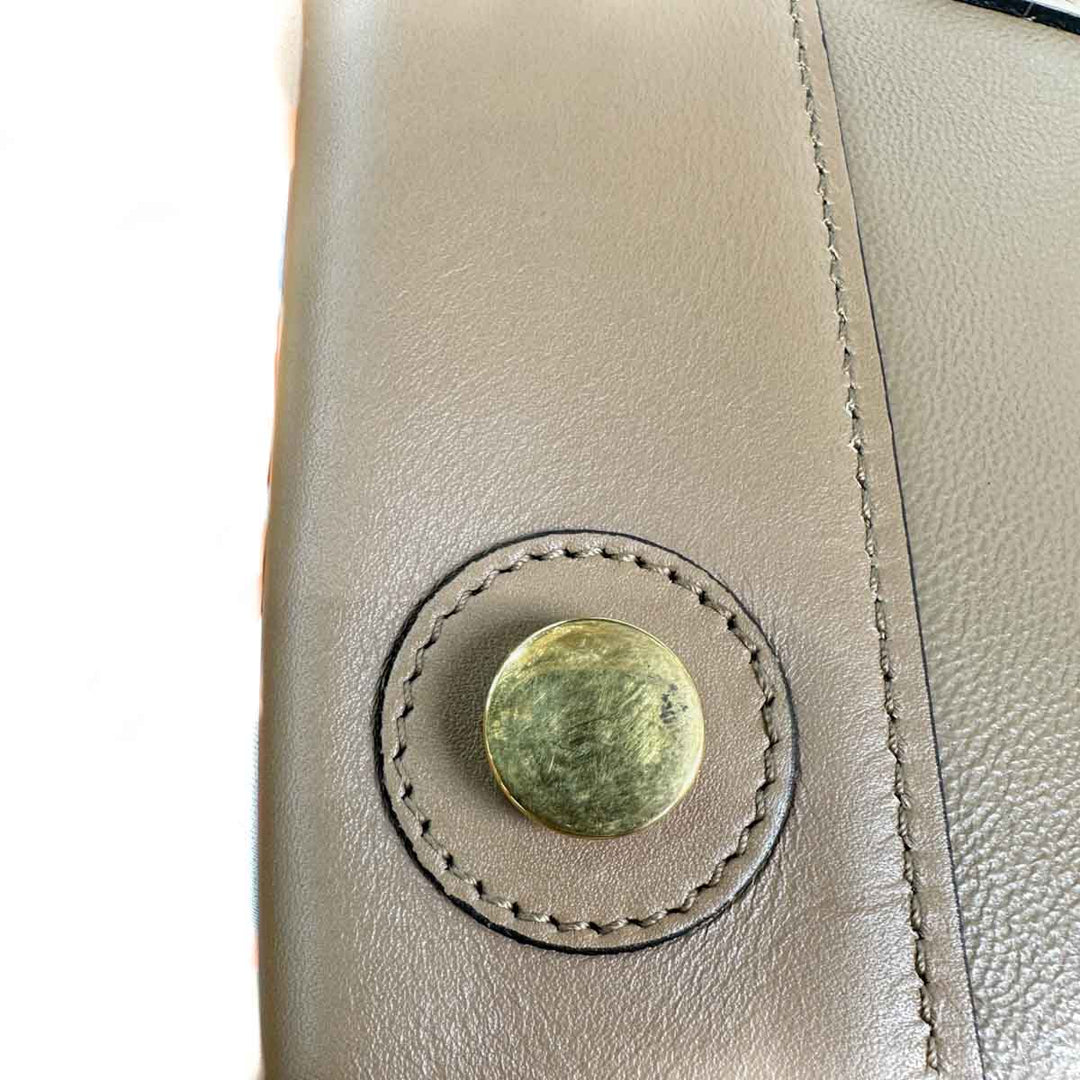 Celine White & Brown Frame Bag - Jiaxyk