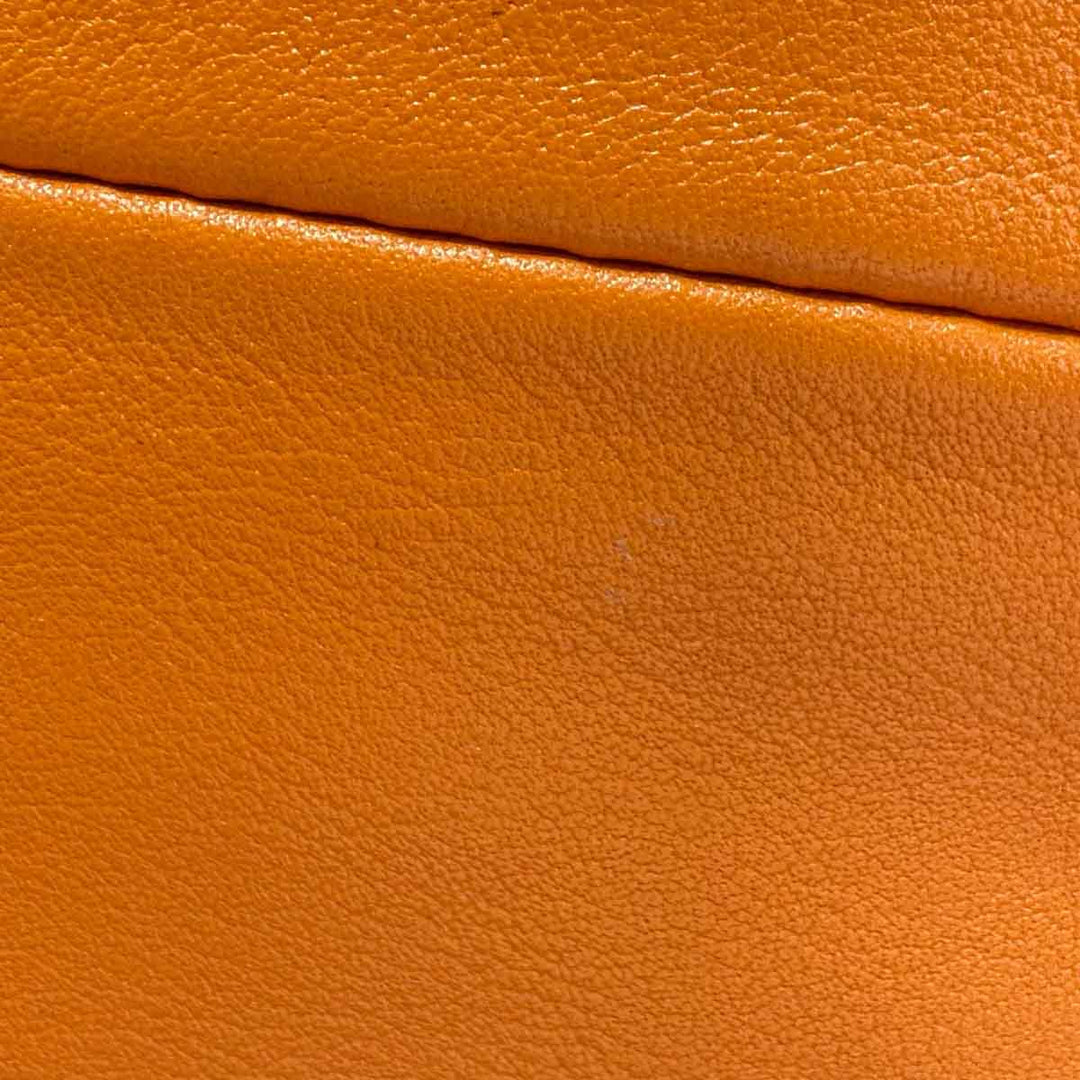 Bottega Veneta Mini Orange Pouch - Jiaxyk