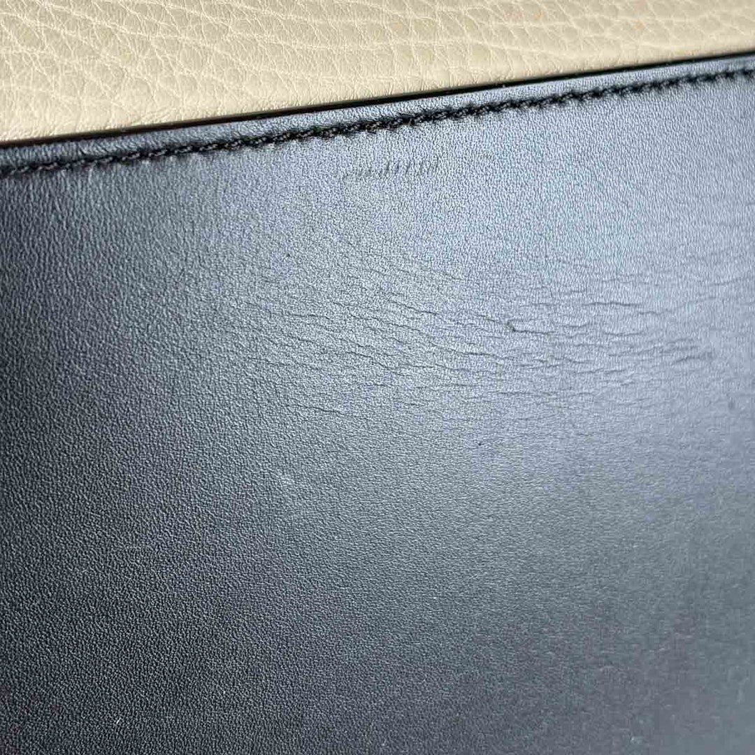 Celine Luggage Bag