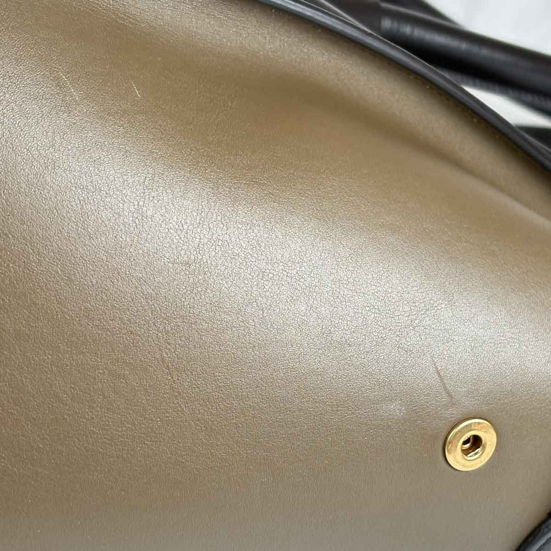 Celine Luggage Bag