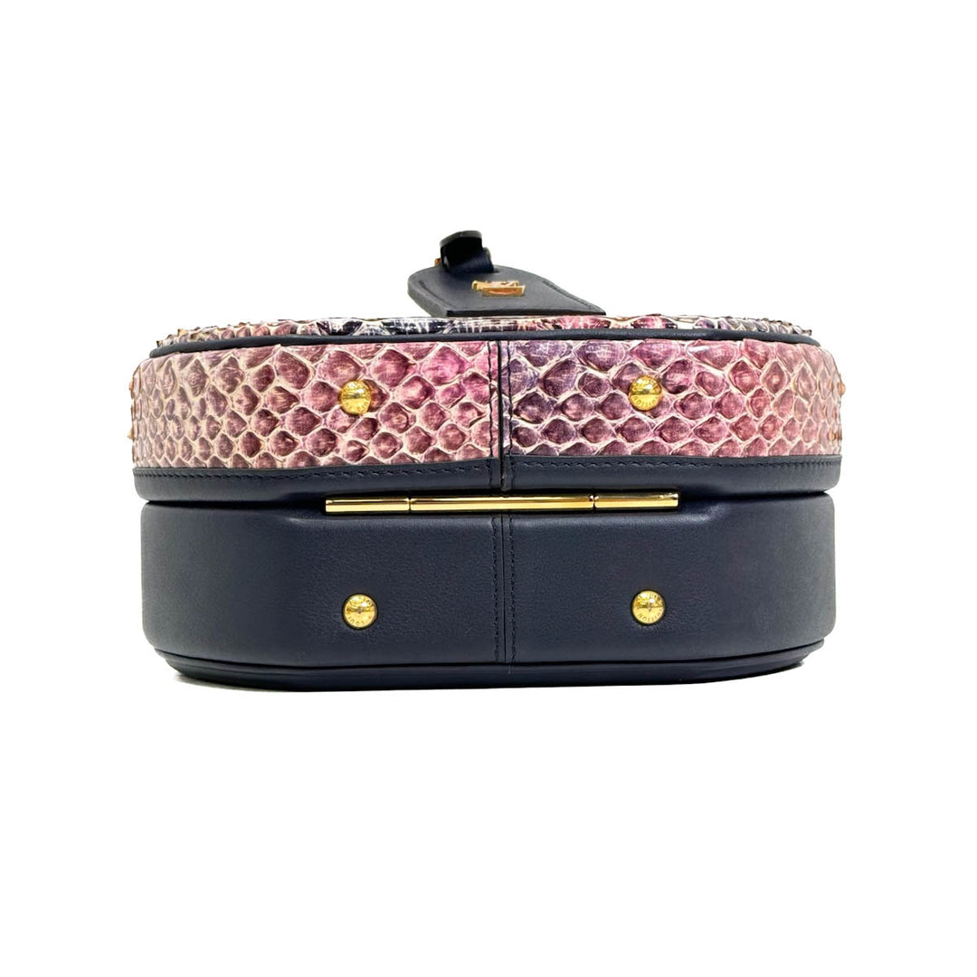 Louis Vuitton Python Petite Boite Chapeau - Jiaxyk