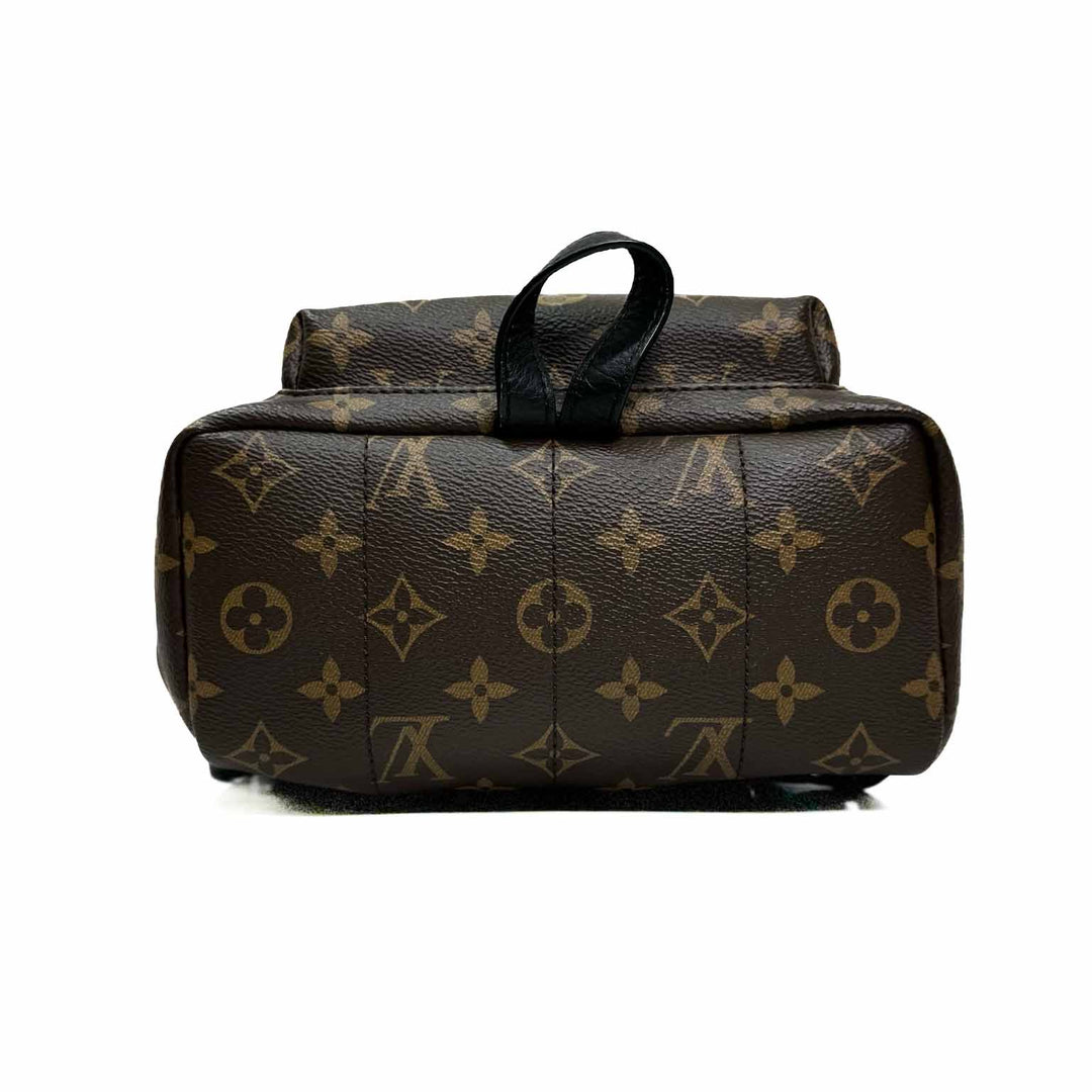 Louis Vuitton Small Palm Spring Backpack - Jiaxyk