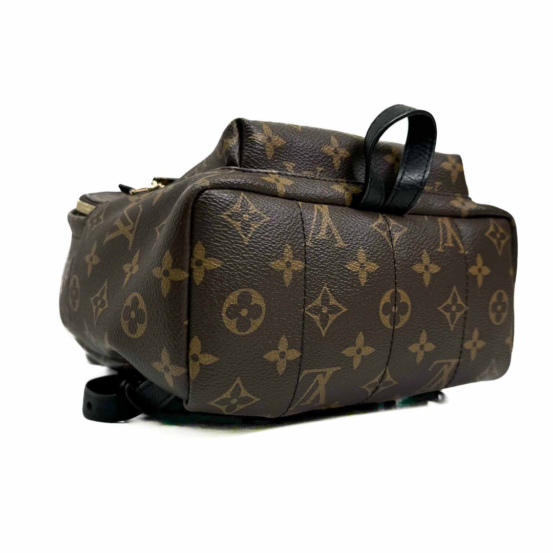 Louis Vuitton Small Palm Spring Backpack - Jiaxyk