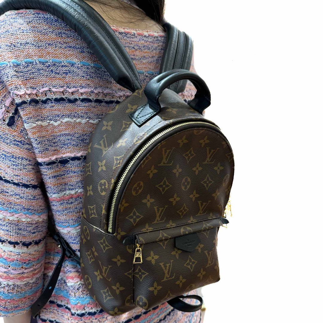 Louis Vuitton Small Palm Spring Backpack - Jiaxyk