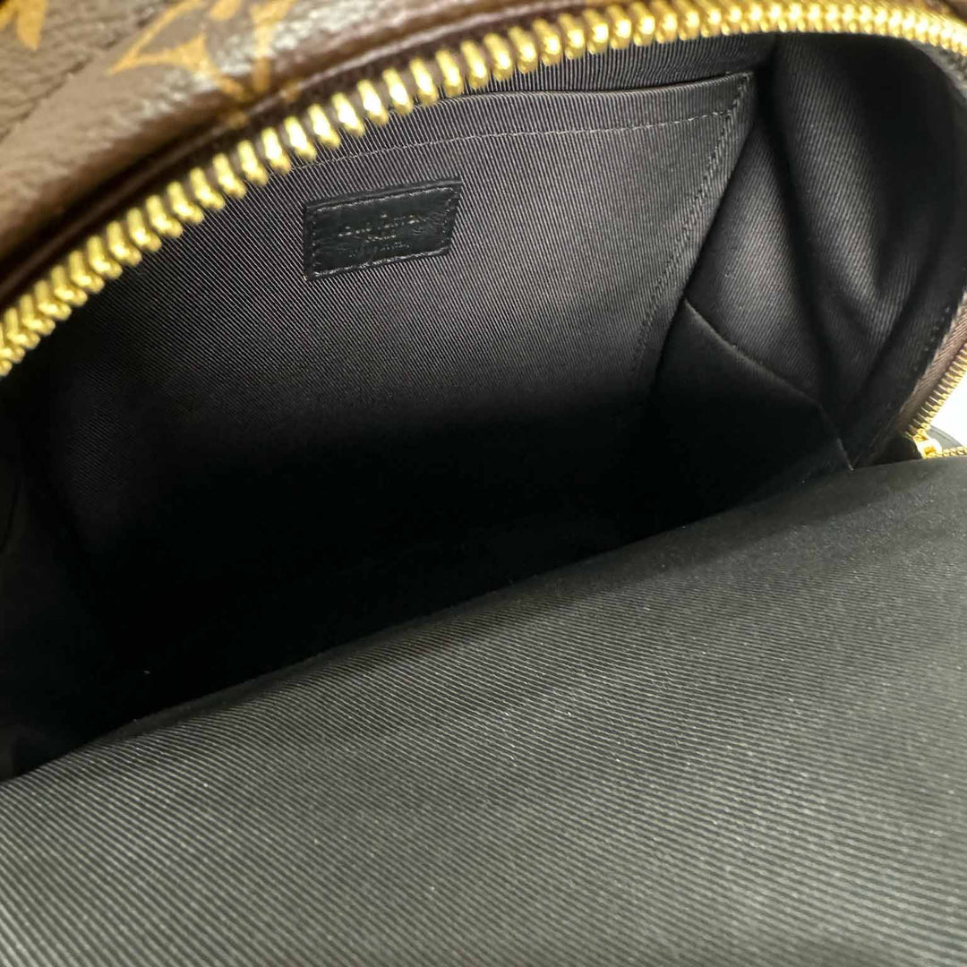 Louis Vuitton Small Palm Spring Backpack - Jiaxyk