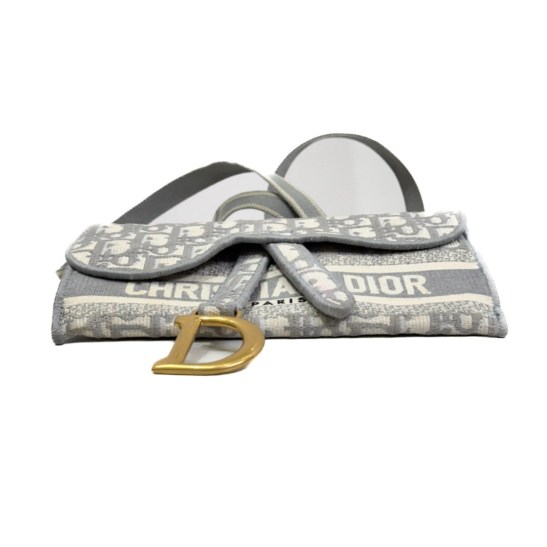 Dior Grey Saddle Belt Pouch - Jiaxyk