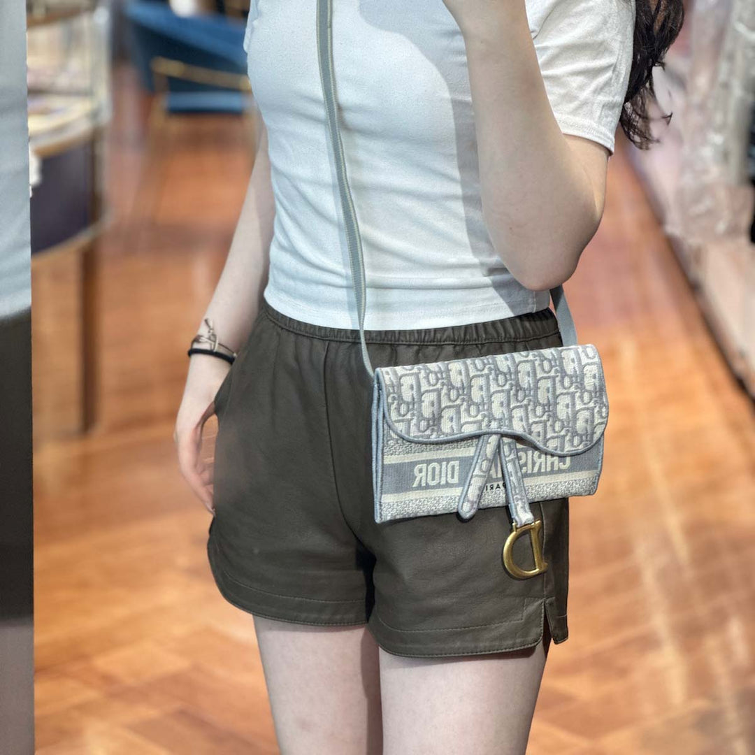 Dior Grey Saddle Belt Pouch - Jiaxyk