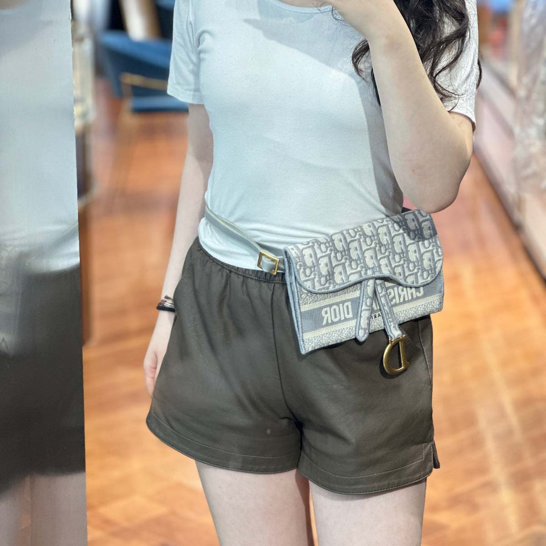Dior Grey Saddle Belt Pouch - Jiaxyk