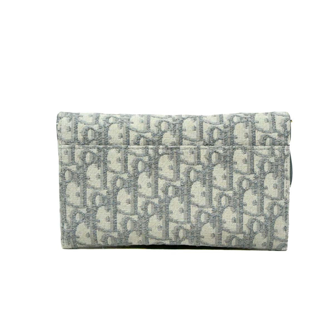 Dior Grey Saddle WOC - Jiaxyk