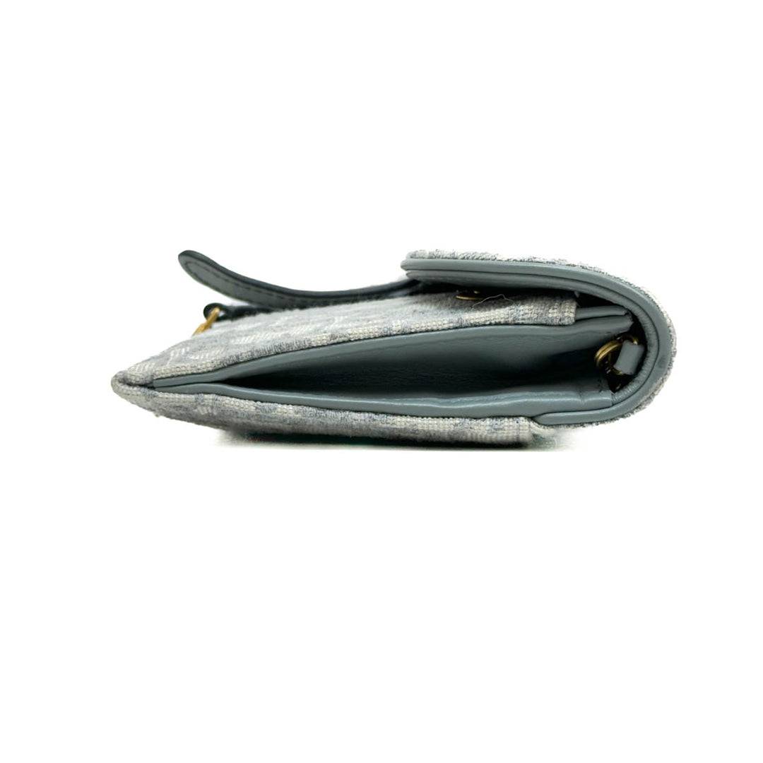 Dior Grey Saddle WOC - Jiaxyk