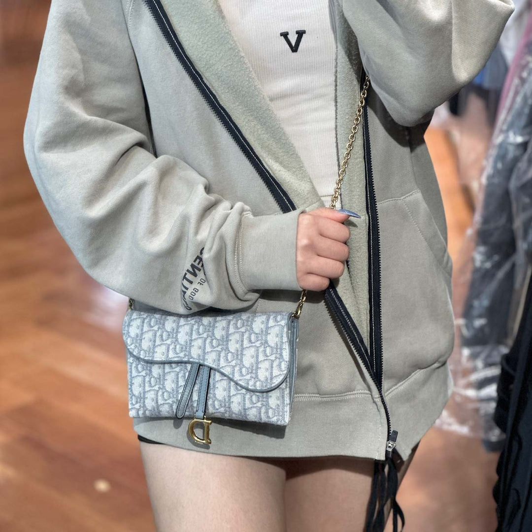Dior Grey Saddle WOC - Jiaxyk