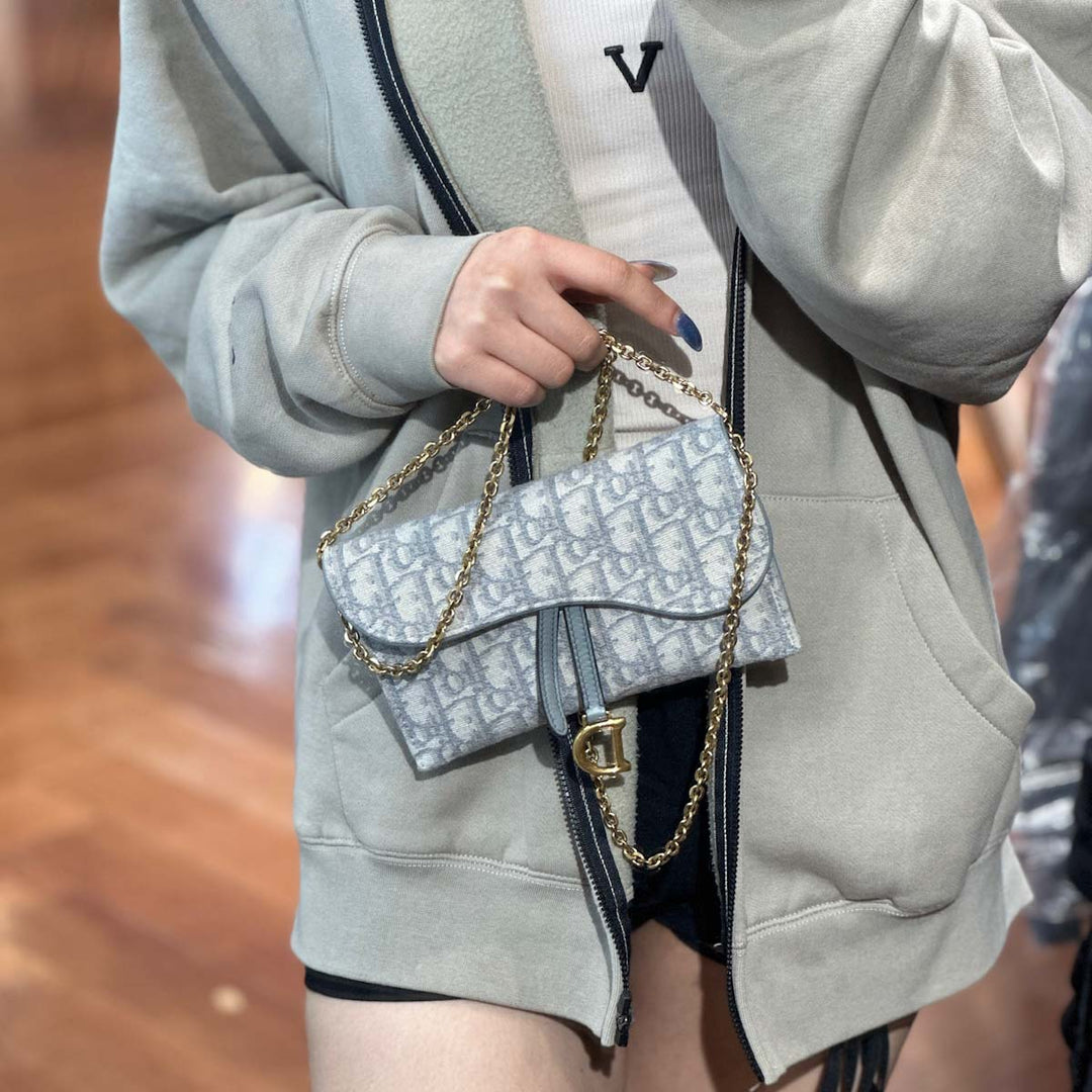 Dior Grey Saddle WOC - Jiaxyk