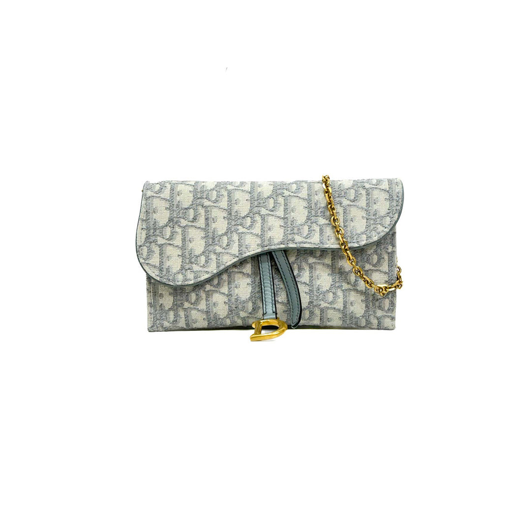 Dior Grey Saddle WOC - Jiaxyk