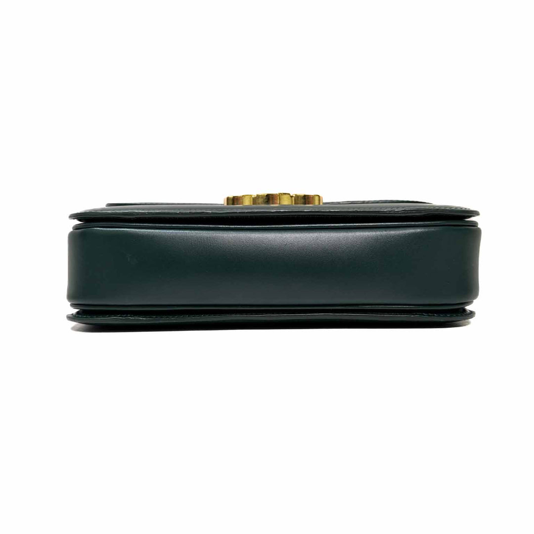 Celine Green Medium Classique Triomphe Bag - Jiaxyk