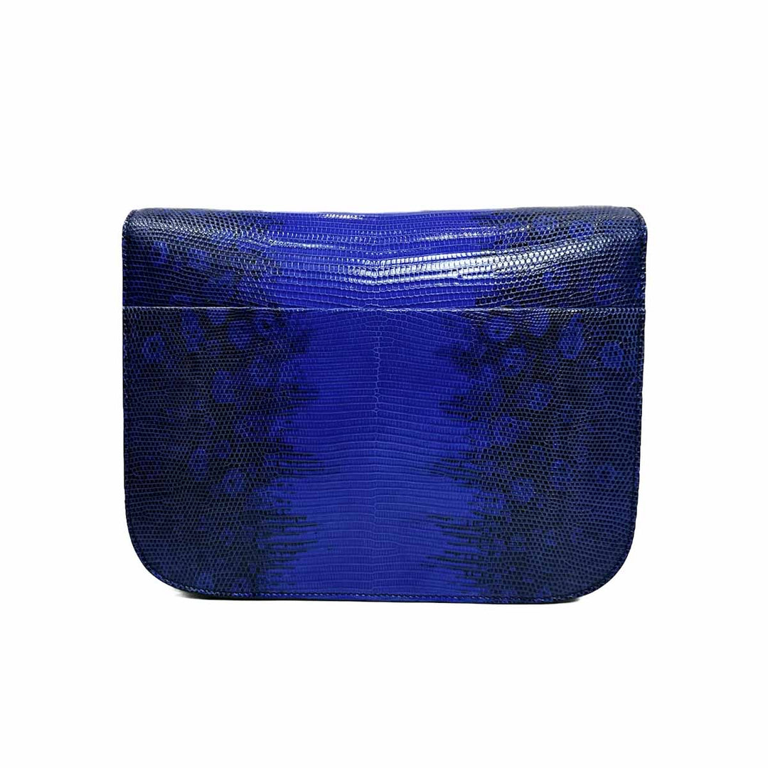 Celine Medium Box Bag in Lizard Leather - Jiaxyk