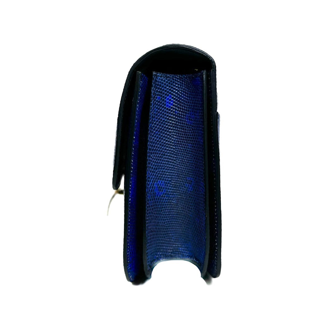 Celine Medium Box Bag in Lizard Leather - Jiaxyk
