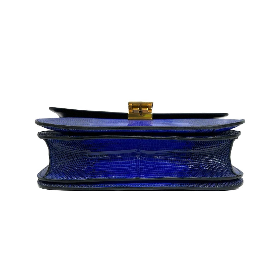Celine Medium Box Bag in Lizard Leather - Jiaxyk