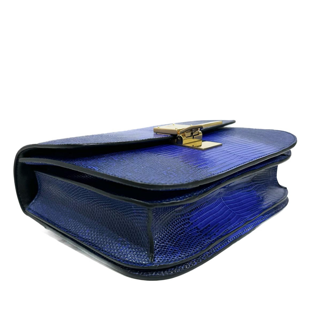Celine Medium Box Bag in Lizard Leather - Jiaxyk