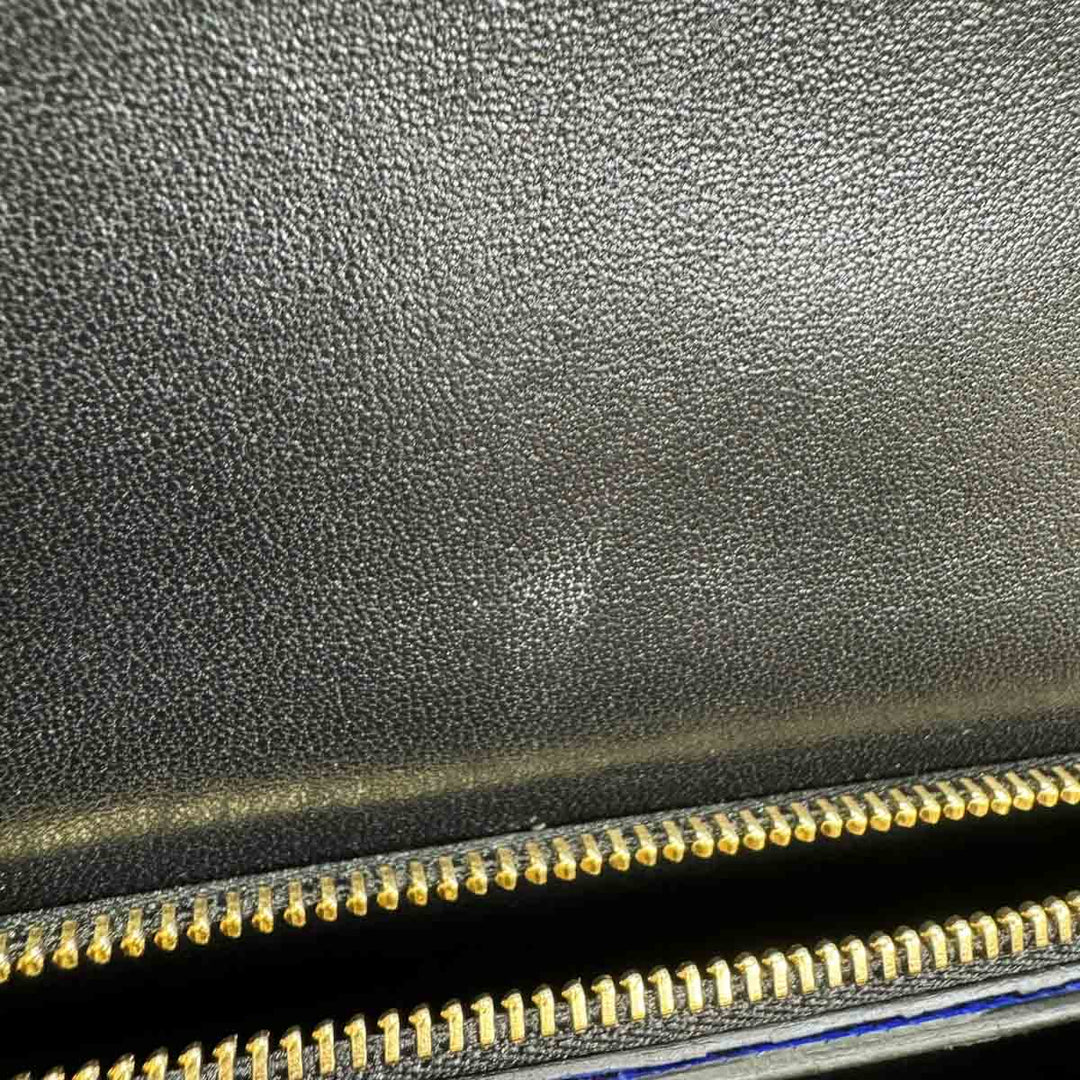 Celine Medium Box Bag in Lizard Leather - Jiaxyk