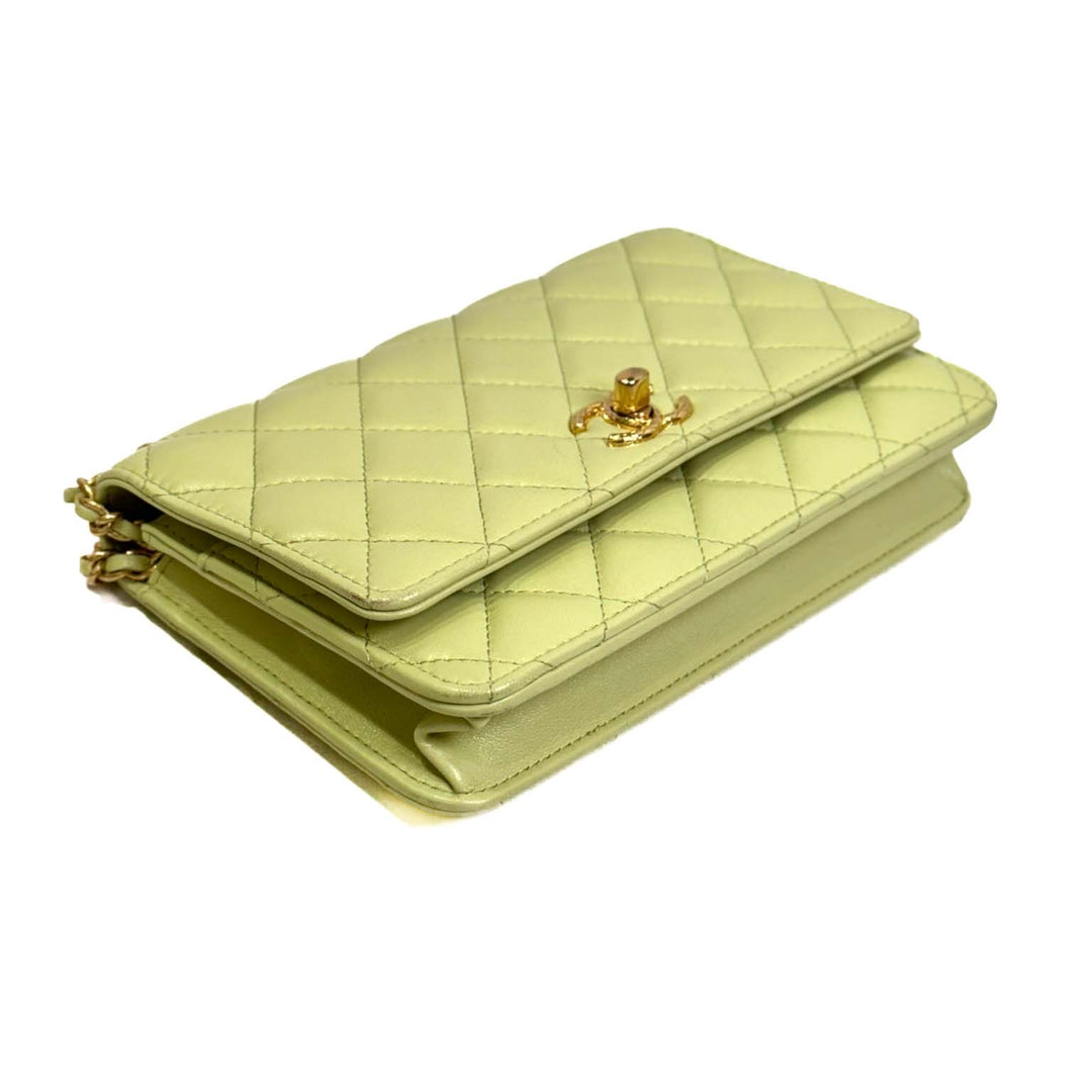 Chanel 23C Classic Flap Woc - Jiaxyk