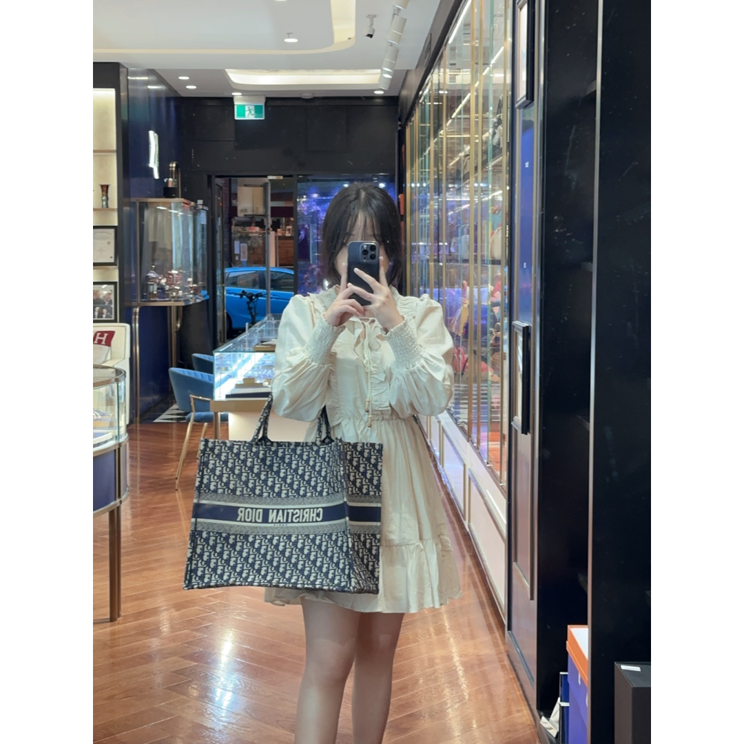 Dior Large Book Tote - Jiaxyk