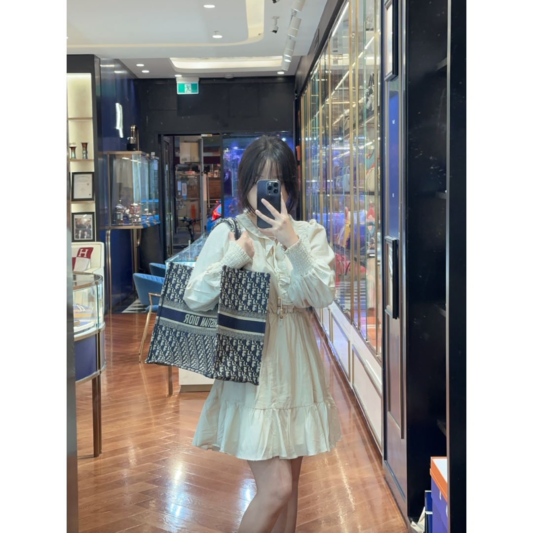 Dior Large Book Tote - Jiaxyk