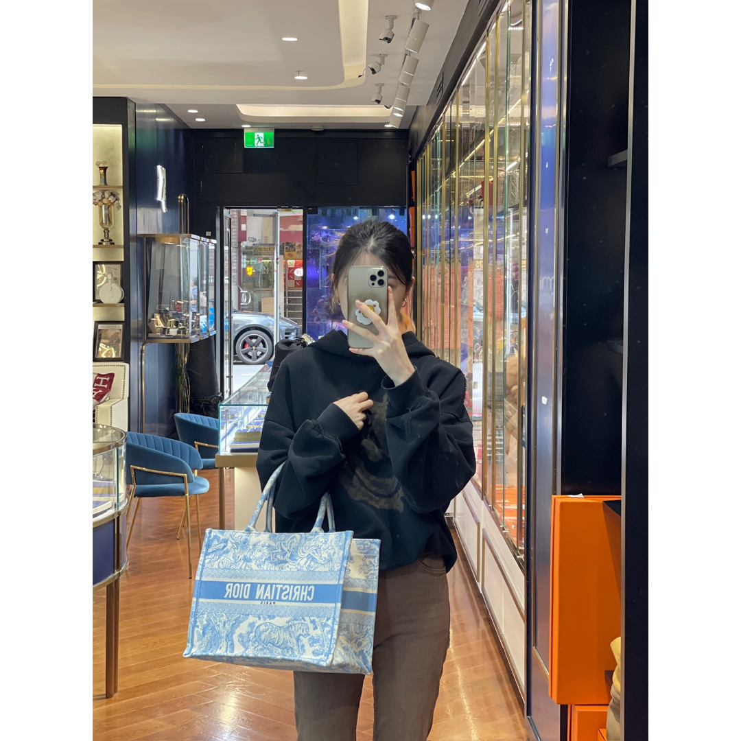 Dior Medium Book Tote - Jiaxyk