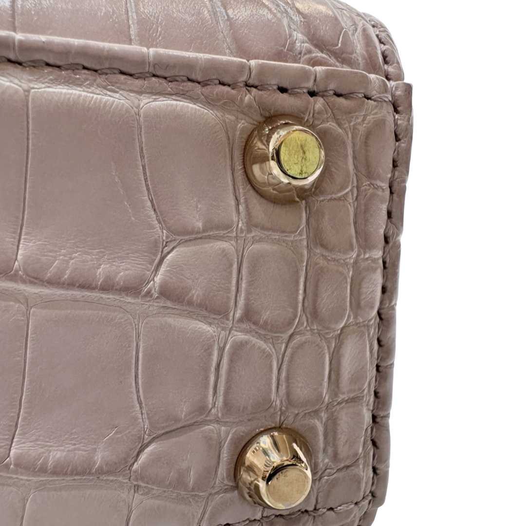 Dior Alligator Pink Lady Dior Mini Bag - Jiaxyk