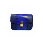 Celine Medium Box Bag in Lizard Leather - Jiaxyk