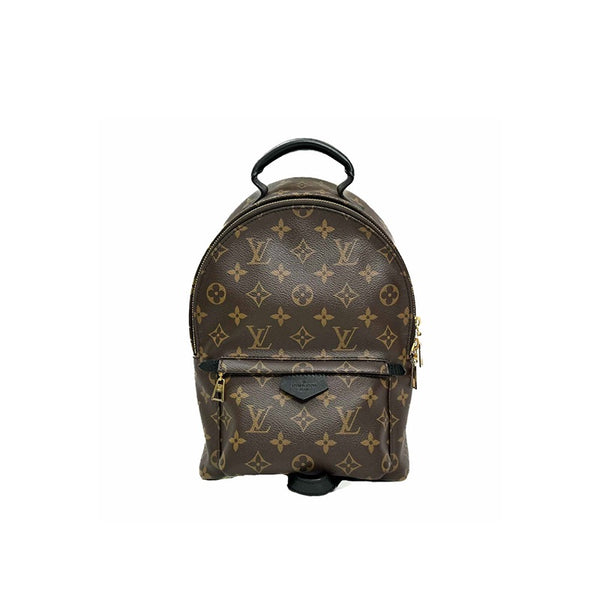Louis Vuitton Small Palm Spring Backpack - Jiaxyk
