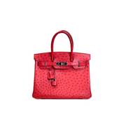 Hermes Birkin 30 Ostrich - Jiaxyk