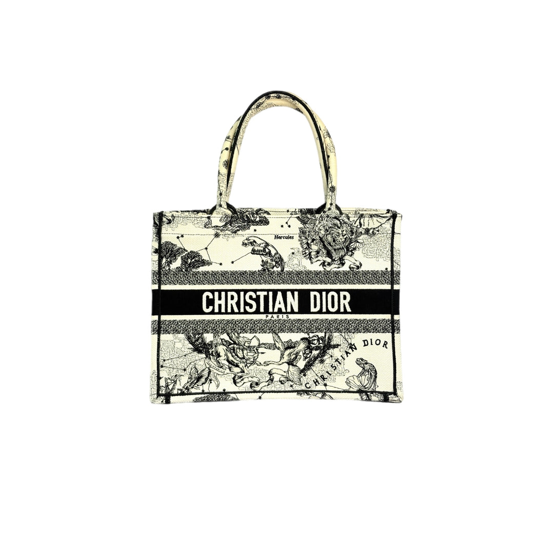 Dior Small Book Tote Zodiac Embroidery Bag