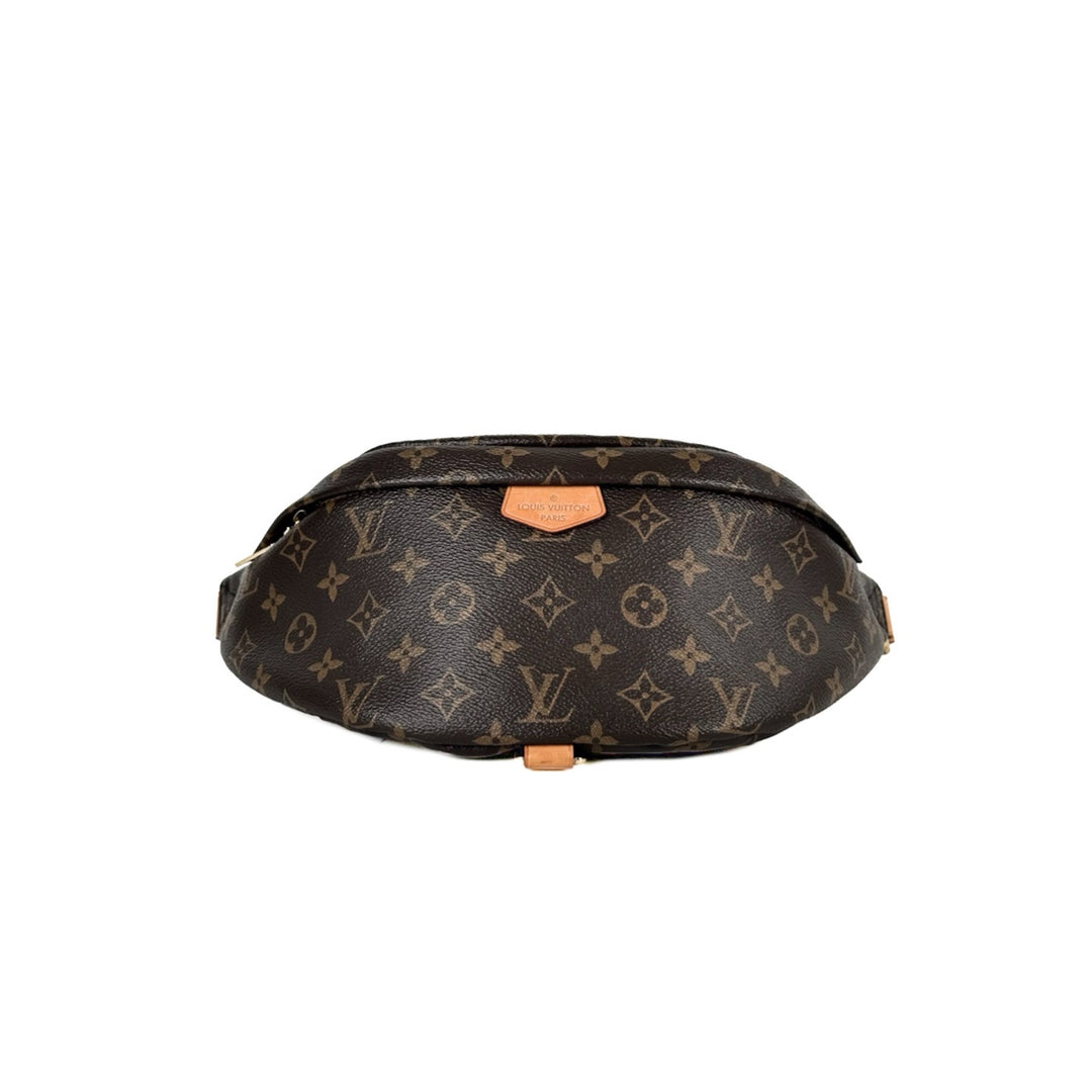 Louis Vuitton Bumbag Monogram