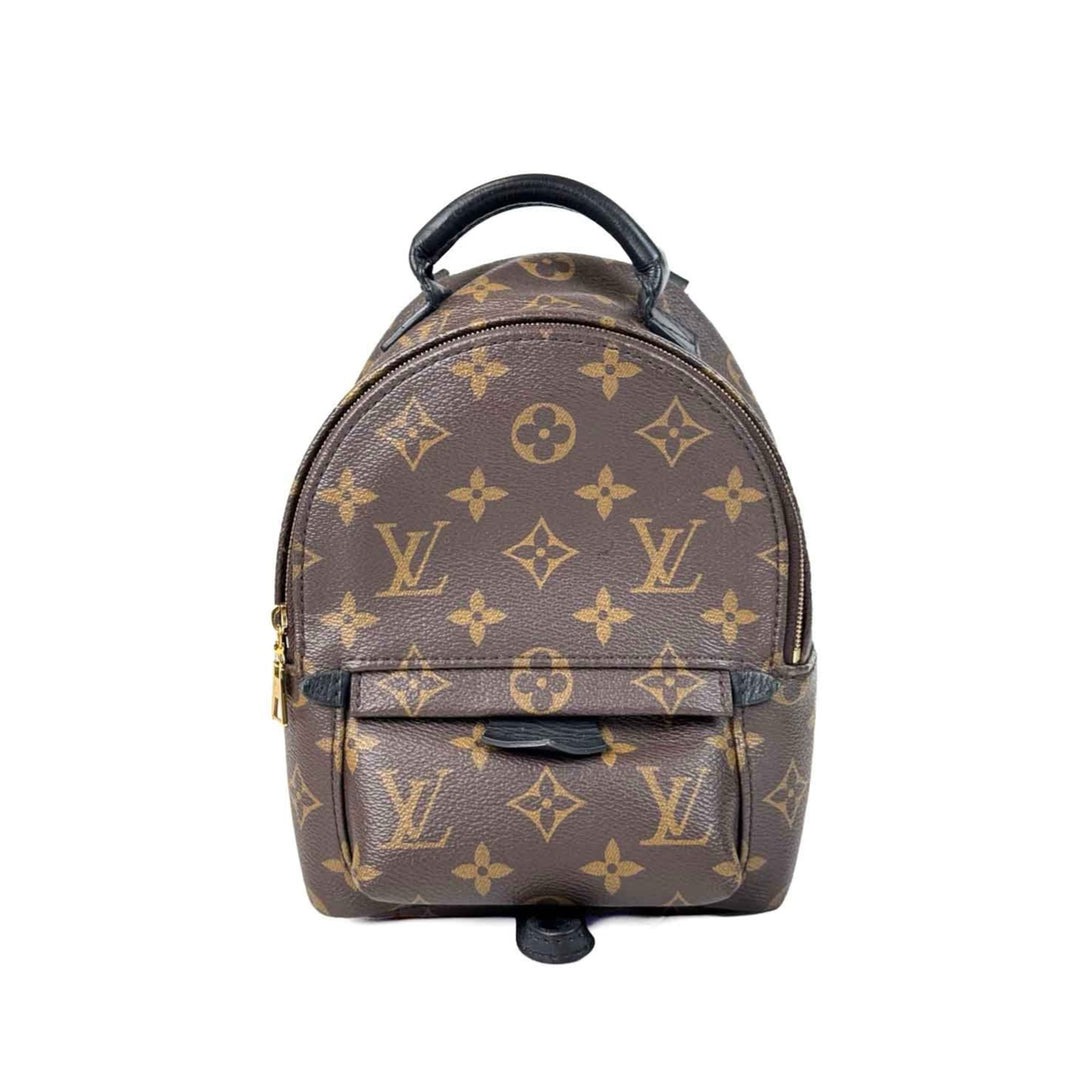 Louis Vuitton Palm Springs  Mini 17cm Monogram