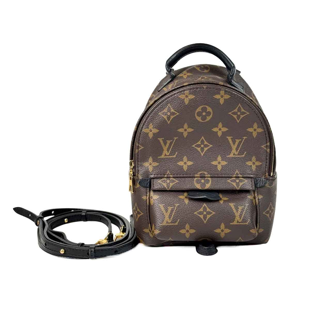 Louis Vuitton Palm Springs  Mini 17cm Monogram