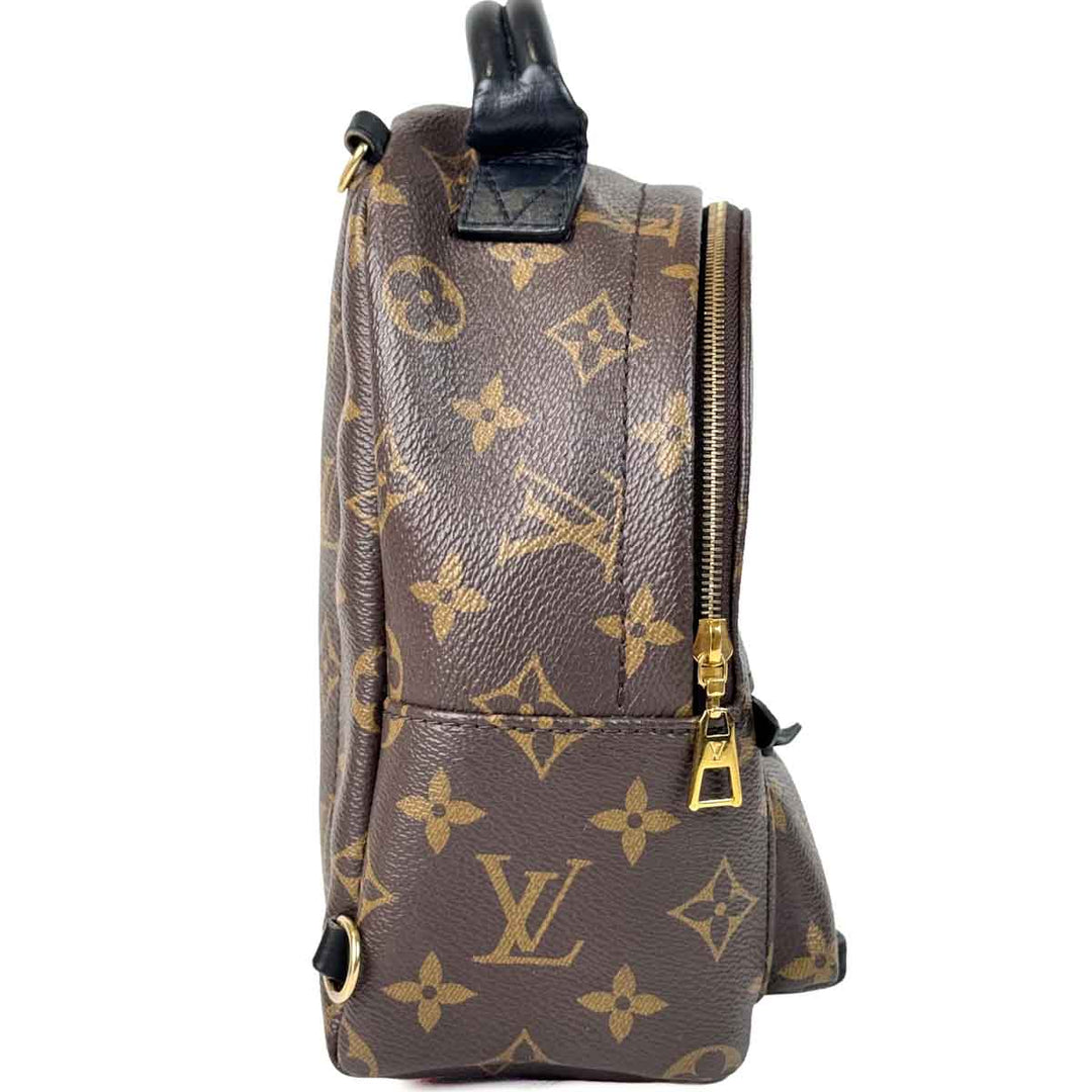 Louis Vuitton Palm Springs  Mini 17cm Monogram