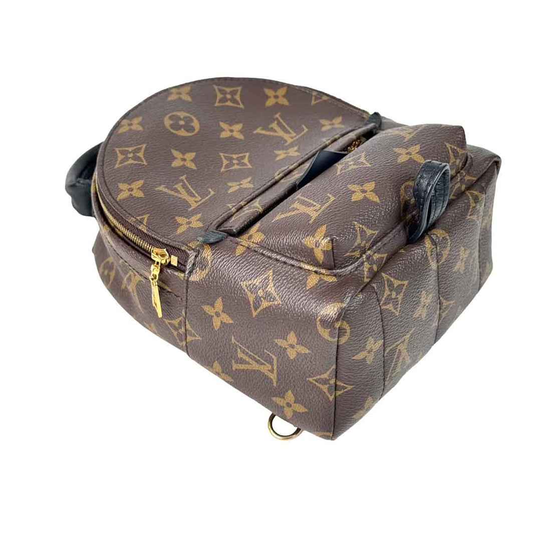 Louis Vuitton Palm Springs  Mini 17cm Monogram