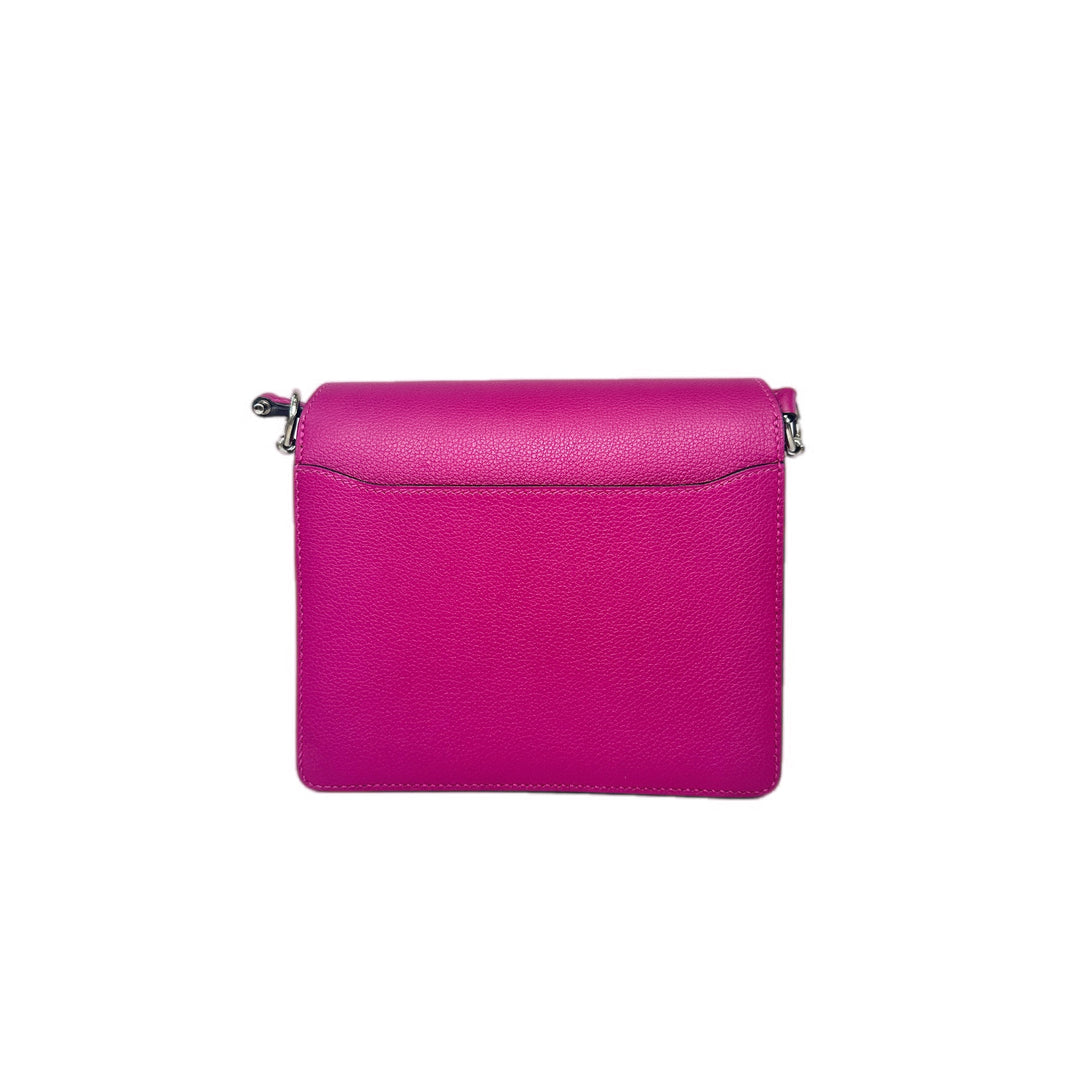 Hermes Roulis 19cm Bag L3 Evercolor