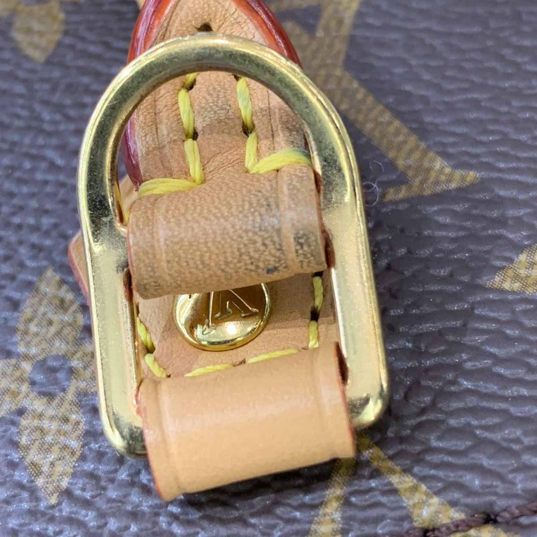 Louis Vuitton Petit Sat Plat Mini
