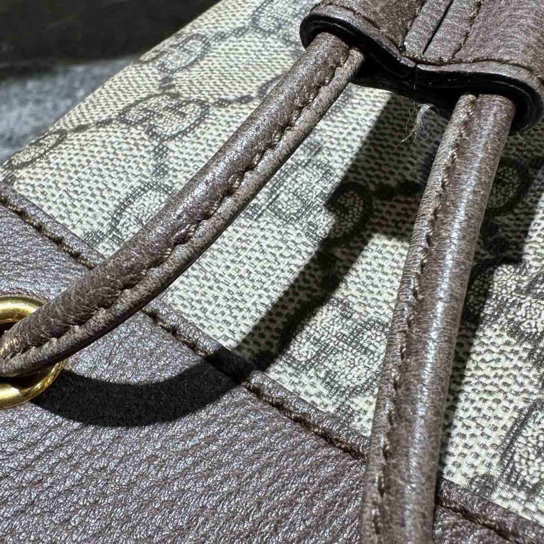 Gucci Ophidia Bucket Bag
